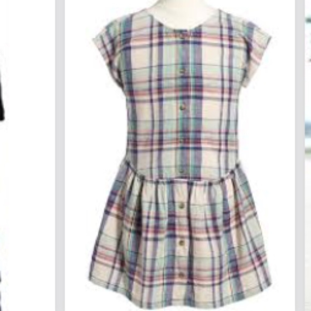 Daniela plaid drop waist dress